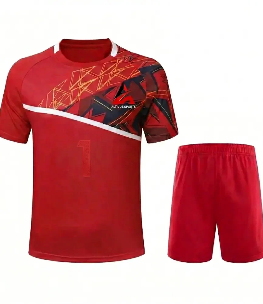 Scarlet Ace Badminton Set (Modern & Unique)